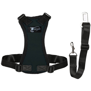 Black Dog Seat Belt Harness